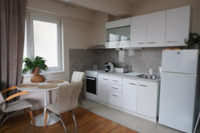 Parkside Apartment 1